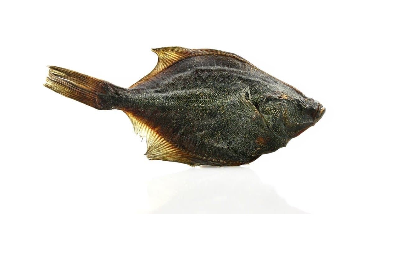 Plekšnė 300g Pets Best