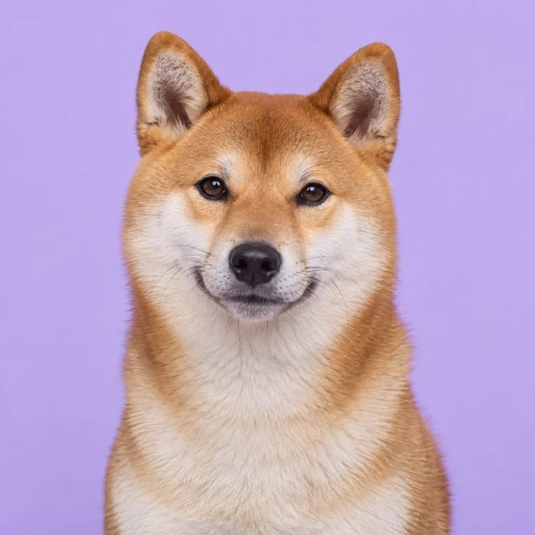 Shiba Inu, original AI-generated breed illustration
